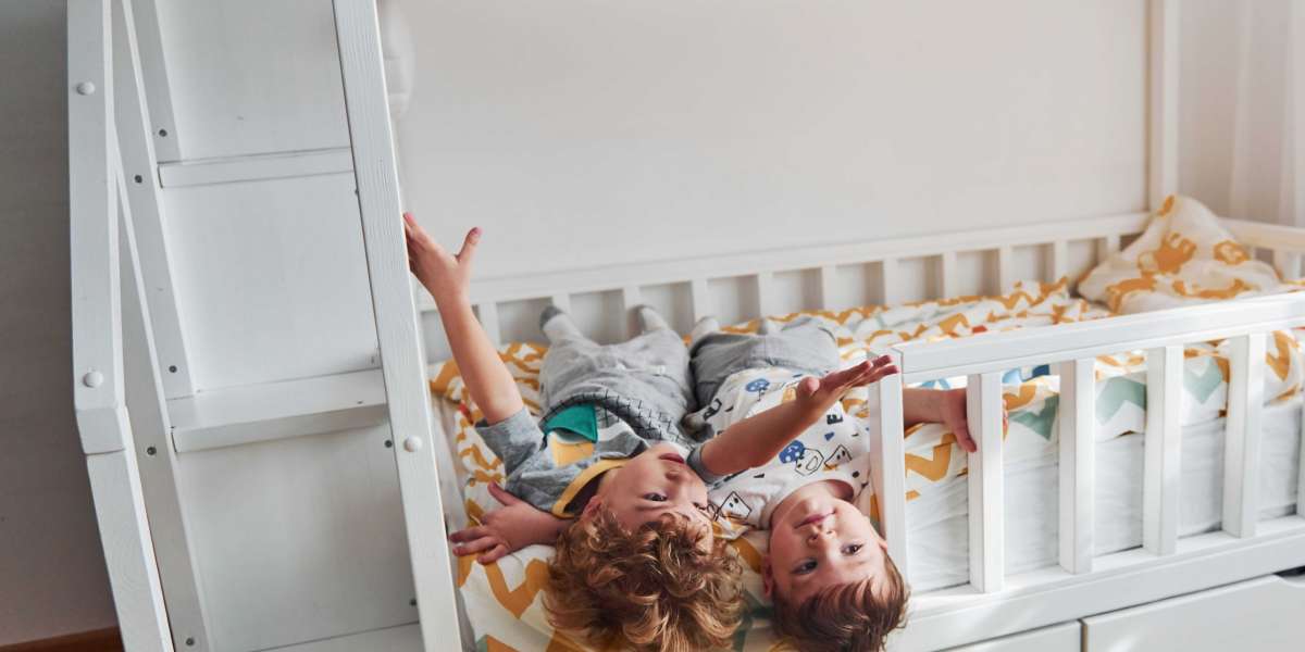 5 Laws To Help The Adult Bunk Bed Industry