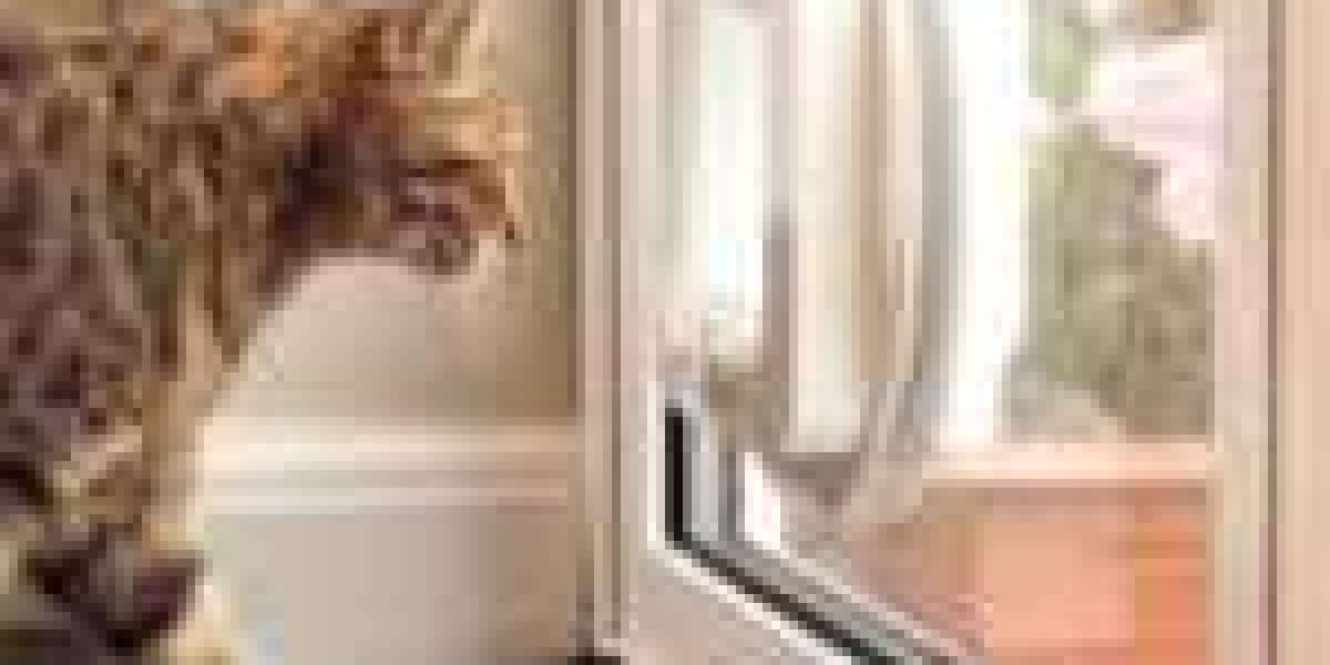 5 Expert Pet Door Installation Lessons From The Pros